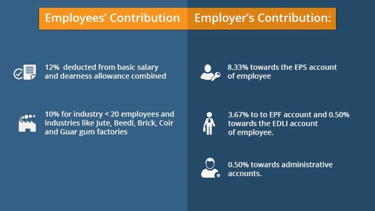 Employee Contribution