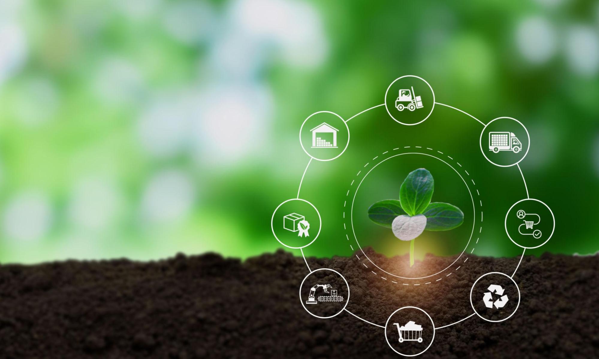 Sustainable Practices