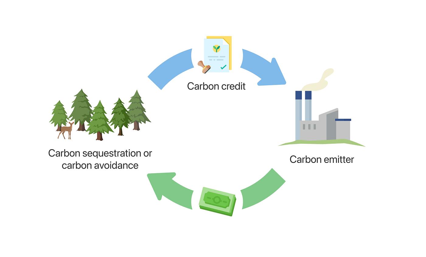 Carbon Credit Markets