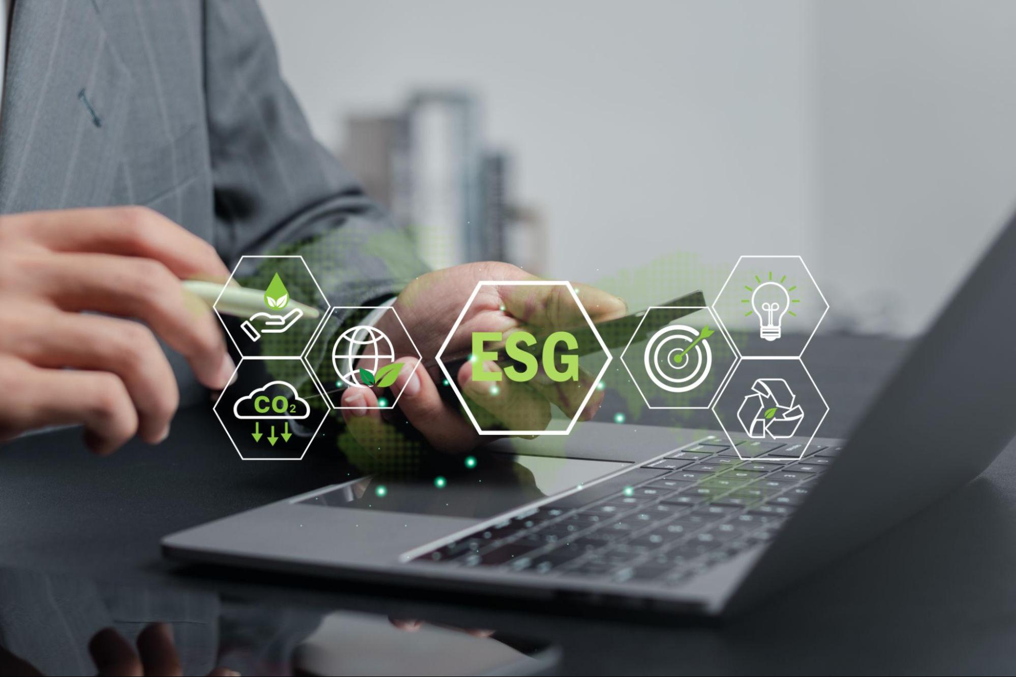 Sustainable business strategy